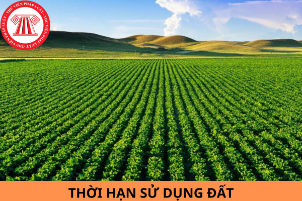 Mẫu Quyết định điều chỉnh thời hạn sử dụng đất của dự án đầu tư mới nhất năm 2024?