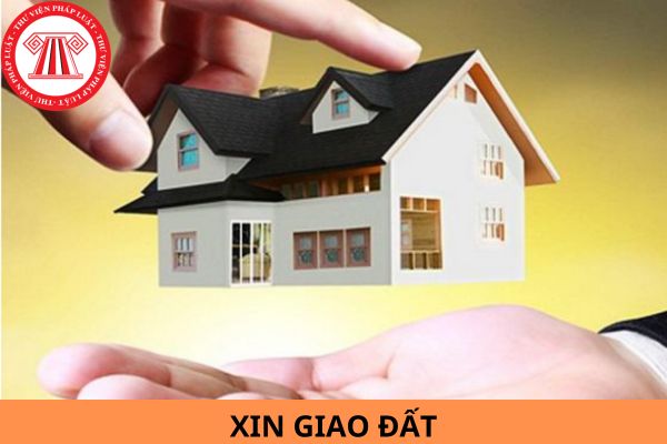 Mẫu đơn xin giao đất theo Nghị định 102 mới nhất năm 2024?