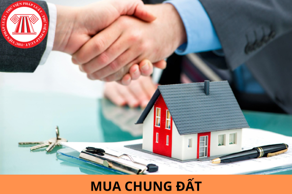 Mua chung đất thì giấy chứng nhận ghi thế nào? Ai sẽ giữ giấy chứng nhận khi mua chung đất?