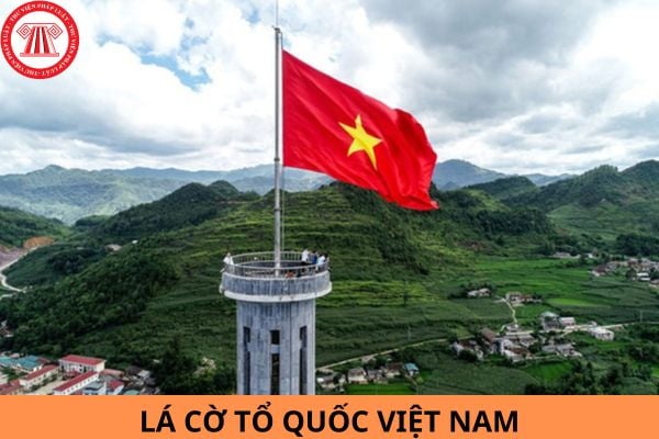 Tỷ lệ chuẩn của lá cờ Tổ quốc Việt Nam? Hướng dẫn việc sử dụng Quốc kỳ Việt Nam đúng quy định?