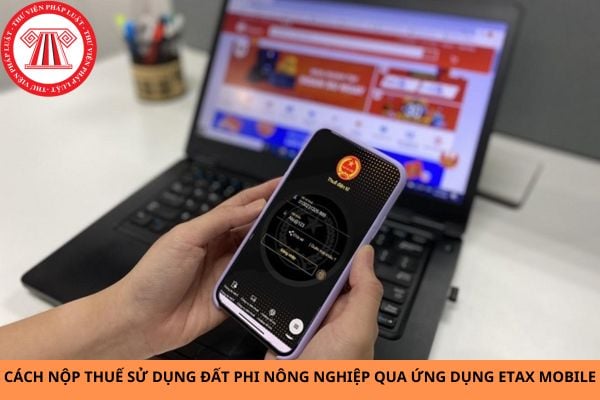 Hướng dẫn cách nộp thuế sử dụng đất phi nông nghiệp qua ứng dụng eTax Mobile?