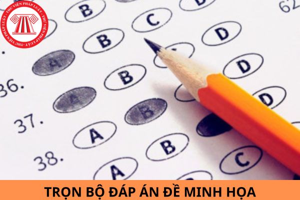 Trọn bộ đáp án đề minh họa thi vào lớp 10 Hà Nội năm học 2025-2026 theo chương trình giáo dục phổ thông 2018?