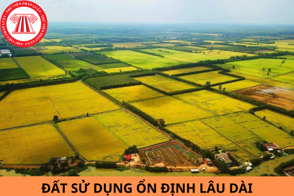 Loại đất nào được sử dụng ổn định lâu dài theo quy định tại Điều 171 Luật Đất đai 2024?