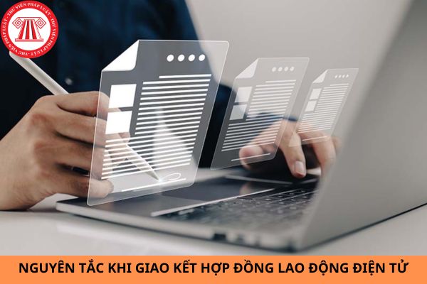 Nguyên tắc phải tuân thủ khi giao kết hợp đồng lao động điện tử là gì?