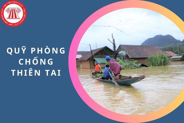 Không đóng Quỹ phòng chống thiên tai có bị phạt không?