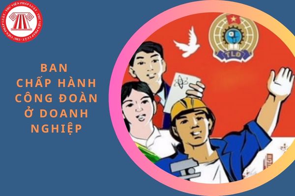 Trách nhiệm của Ban Chấp hành Công đoàn ở doanh nghiệp, tổ chức đại diện khác của người lao động ở cơ sở trong việc tổ chức để người lao động tham gia ý kiến thế nào?