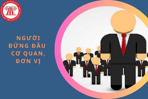 Trách nhiệm của người đứng đầu cơ quan, đơn vị trong việc tổ chức để cán bộ, công chức, viên chức, người lao động bàn, quyết định và thực hiện quyết định của tập thể cán bộ, công chức, viên chức, người lao động như thế nào?