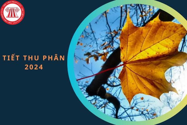 Tiết Thu Phân là gì? Tiết Thu Phân 2024 rơi vào ngày nào? Từ ngày 22/9/2024 đến ngày 08/10/2024 người lao động có được nghỉ lễ ngày nào không?