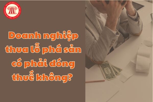 Doanh nghiệp được xem là phá sản khi nào? Khi doanh nghiệp thua lỗ dẫn phá sản có phải đóng thuế không? 