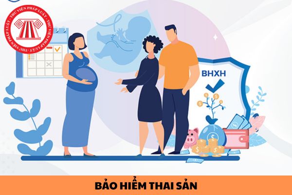 02 trường hợp không được hưởng bảo hiểm thai sản người lao động cần lưu ý?