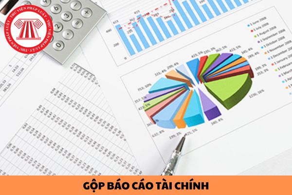 Mẫu công văn xin gộp Báo cáo tài chính cho doanh nghiệp mới thành lập năm 2023?