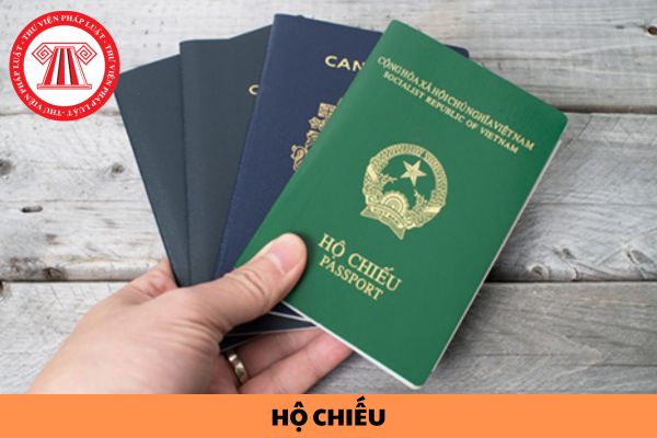 Hiện nay có bao nhiêu loại mẫu hộ chiếu? Hộ chiếu mẫu mới nhất năm 2024 được quy định như thế nào?