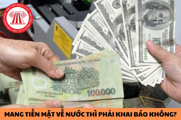 Mang tiền mặt về Việt Nam thì phải khai báo không? Thủ tục khai báo Hải quan khi mang tiền mặt về nước được thực hiện như thế nào?