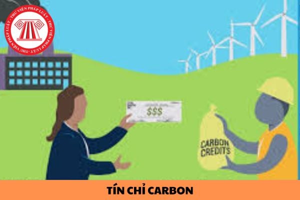 Tín chỉ carbon là gì? Đối tượng nào được phép tham gia thị trường carbon tại Việt Nam?