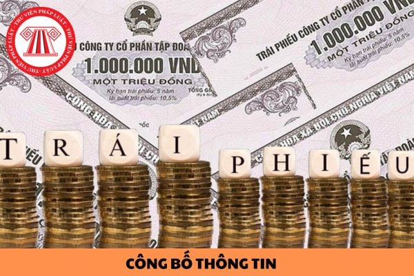 Mẫu công bố thông tin về chào bán trái phiếu riêng lẻ tại thị trường trong nước năm 2024?