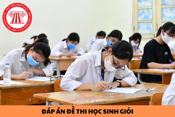 Đáp án đề thi học sinh giỏi môn Tiếng Anh lớp 12 của kỳ thi chọn học sinh giỏi cấp thành phố Hồ Chí Minh 2024?