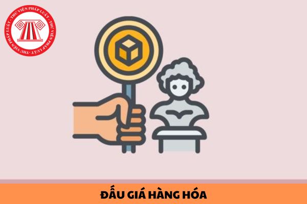 Thủ tục tiến hành cuộc đấu giá hàng hóa trong hoạt động thương mại được thực hiện như thế nào?