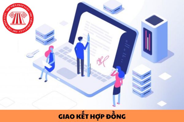 Khi trả lời đề nghị giao kết hợp đồng trên website thương mại điện tử phải cung cấp các thông tin nào cho khách hàng?