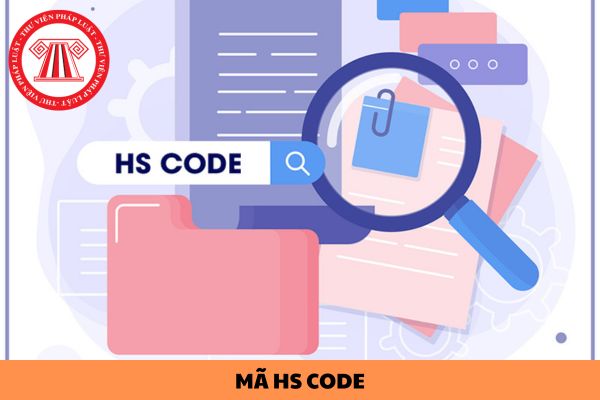 Mã HS code là gì? Danh mục mã HS code hàng hóa xuất nhập khẩu được quy định ở đâu?