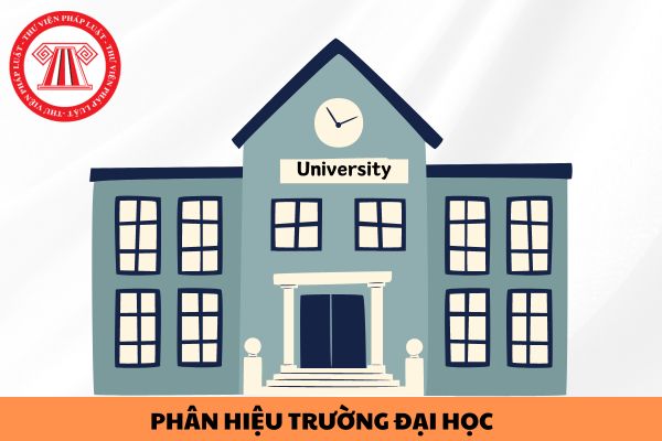 Phân hiệu trường đại học Việt Nam tại Việt Nam có tư cách pháp nhân không?
