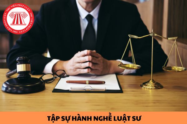 Các tổ chức hành nghề luật sư nào được phép nhận tập sự hành nghề luật sư?
