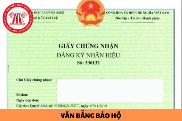 Văn bằng bảo hộ là gì? Văn bằng bảo hộ bị hủy bỏ trong trường hợp nào?