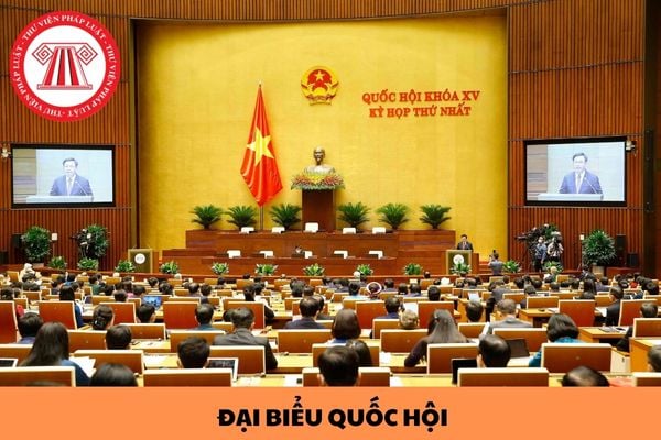 Đại biểu Quốc hội có quyền chất vấn những ai trong kỳ họp Quốc hội?