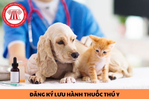 Các trường hợp nào thuốc thú y không được đăng ký lưu hành?