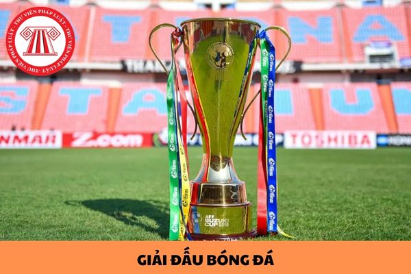 Có những giải đấu bóng đá nào do Liên đoàn Bóng đá Việt Nam quản lý, tổ chức hoặc phối hợp tổ chức?