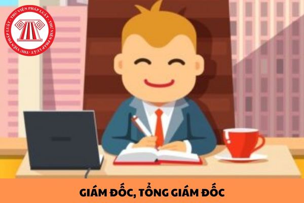 Một người có thể được bổ nhiệm làm Giám đốc, Tổng Giám đốc ở nhiều công ty khác nhau hay không?