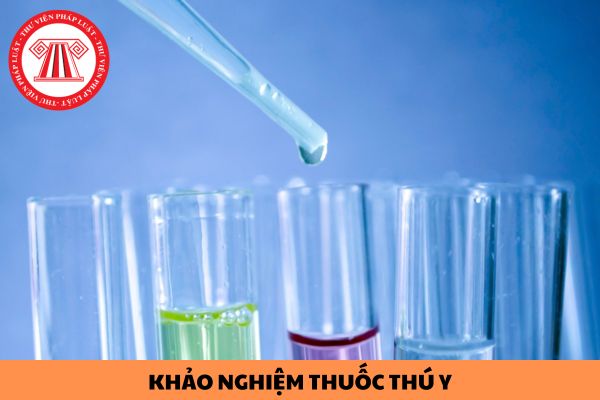 Khảo nghiệm thuốc thú y là gì? Trường hợp nào được miễn khảo nghiệm thuốc thú y?