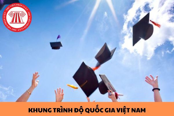 Khung trình độ quốc gia Việt Nam gồm bao nhiêu bậc? Số lượng tín chỉ tối thiểu đối với từng bậc trình độ trong khung trình độ quốc gia Việt Nam?