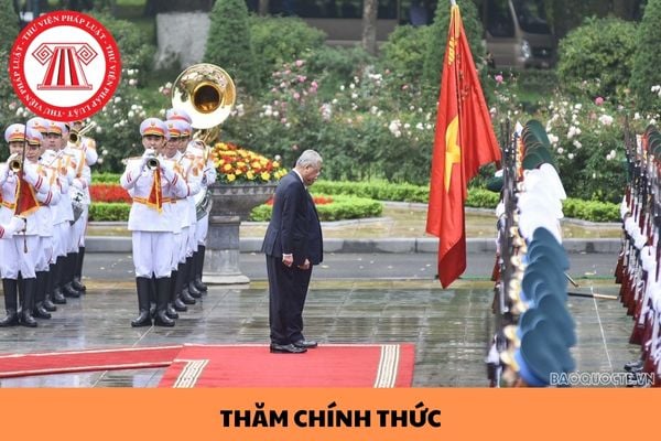 Thăm chính thức là gì? Thăm chính thức khác gì so với thăm làm việc?