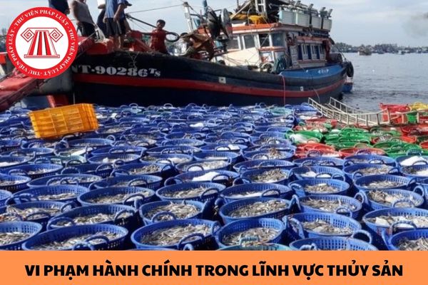 Thời hiệu xử phạt vi phạm hành chính trong lĩnh vực thủy sản từ ngày 20/5/2024 là bao lâu?