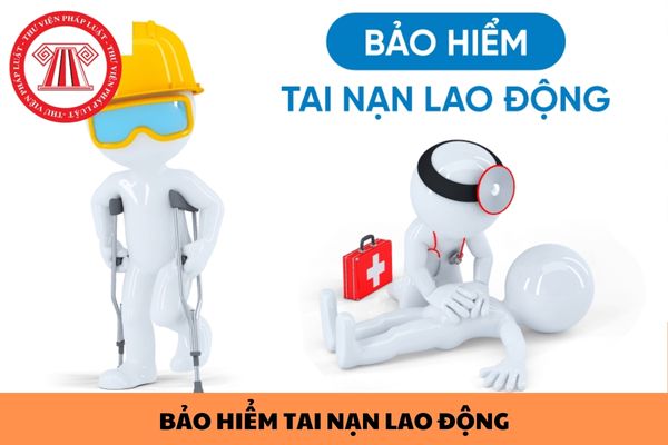 Người lao động có phải trích quỹ lương BHXH để nộp vào quỹ bảo hiểm tai nạn lao động ở tất cả các công ty đang làm việc không?