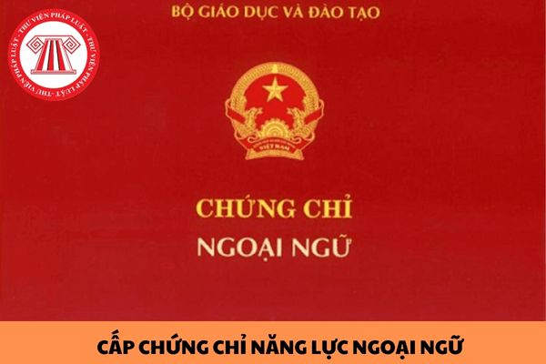 Danh sách đơn vị liên kết được tổ chức thi cấp chứng chỉ năng lực ngoại ngữ của nước ngoài tại Việt Nam năm 2024 cập nhật mới nhất?
