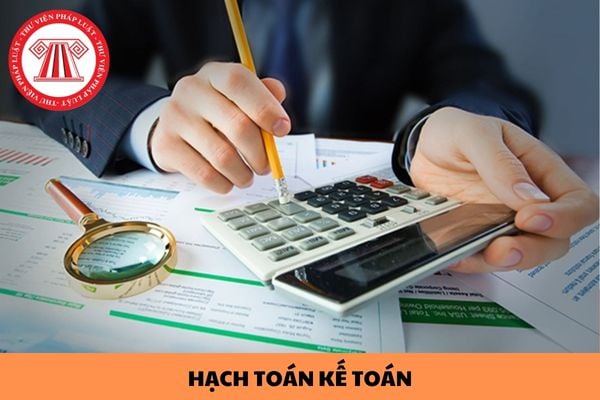 Hướng dẫn hạch toán kế toán cho doanh nghiệp hoạt động giáo dục và đào tạo năm 2024?