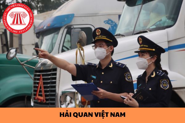 Hệ thống tổ chức của Hải quan Việt Nam bao gồm các cơ quan, đơn vị nào? Tổ chức Hải quan Việt Nam đầu tiên được thành lập vào năm nào?