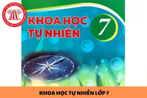 Bộ đề thi cuối kì 2 môn Khoa học tự nhiên lớp 7 Kết nối tri thức có đáp án tham khảo mới nhất 2024?