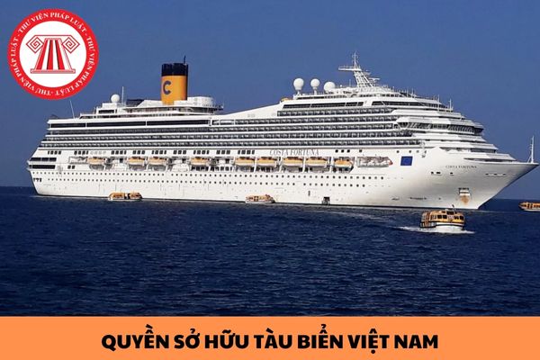 Việc chuyển quyền sở hữu tàu biển Việt Nam có hiệu lực từ thời điểm nào?