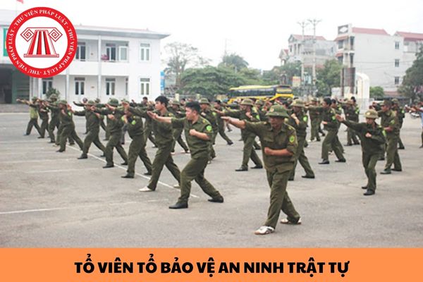 Thủ tục tuyển chọn Tổ viên Tổ bảo vệ an ninh trật tự ở cơ sở thực hiện như thế nào từ 01/7/2024?