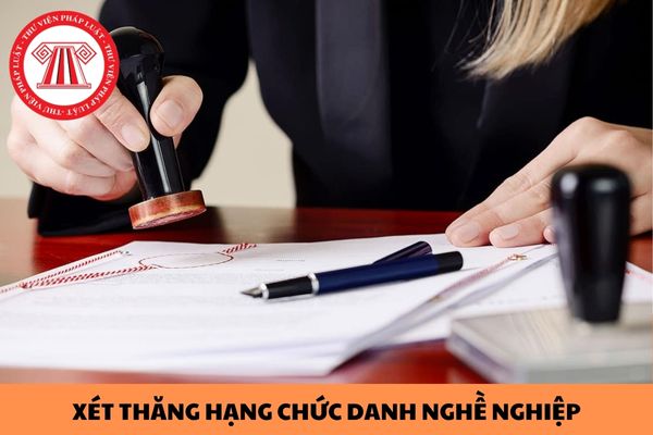 Đề xuất tiêu chuẩn, điều kiện xét thăng hạng đối với viên chức hỗ trợ nghiệp vụ làm việc tại Phòng công chứng?