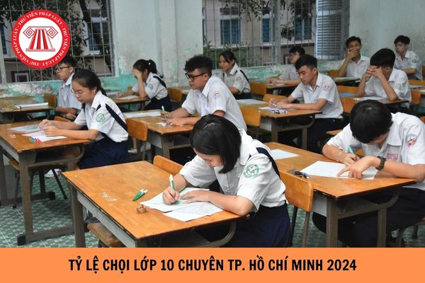 Tỷ lệ chọi vào lớp 10 chuyên của TP.Hồ Chí Minh 2024? Tổ chức tuyển sinh của các trường THPT chuyên được thực hiện như thế nào?