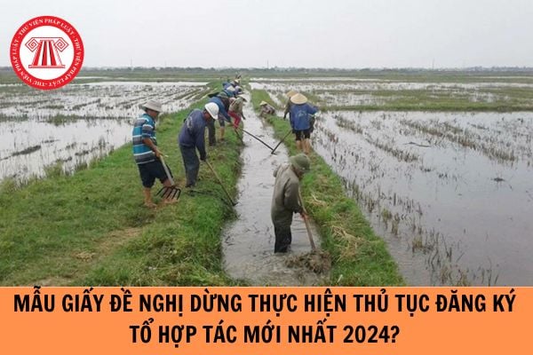 Mẫu Giấy đề nghị dừng thực hiện thủ tục đăng ký tổ hợp tác mới nhất 2024?