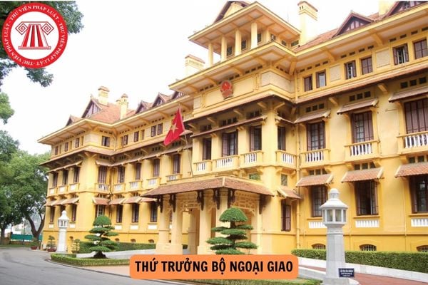 Thứ trưởng Bộ Ngoại giao mới nhất hiện nay là ai? Tiểu sử Thứ trưởng Bộ Ngoại giao hiện nay?