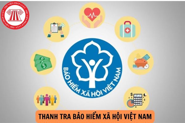 Thanh tra Bảo hiểm xã hội Việt Nam có trách nhiệm tiếp công dân hay không?