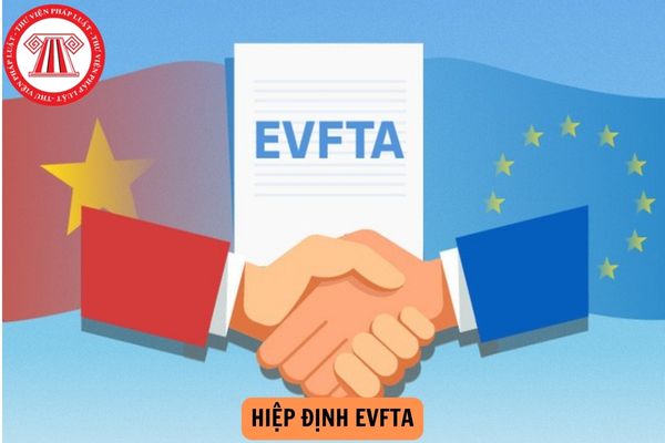 Hiệp định EVFTA gồm những nước nào? Toàn văn Hiệp định EVFTA 2024?