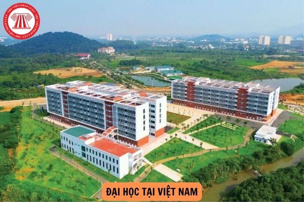 Việt Nam hiện nay có bao nhiêu Đại học? Phân biệt giữa trường đại học và đại học?