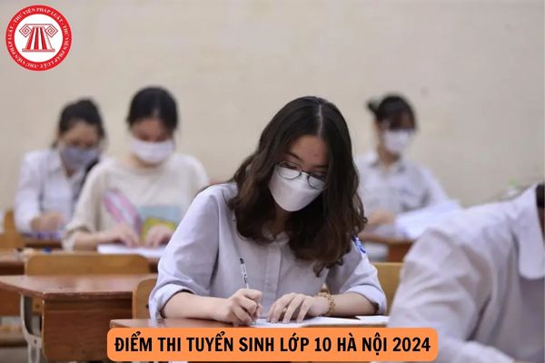 Link tra cứu điểm thi tuyển sinh lớp 10 Hà Nội 2024?