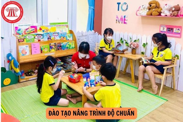 Giáo viên được cử đi đào tạo nâng trình độ chuẩn có những quyền gì?